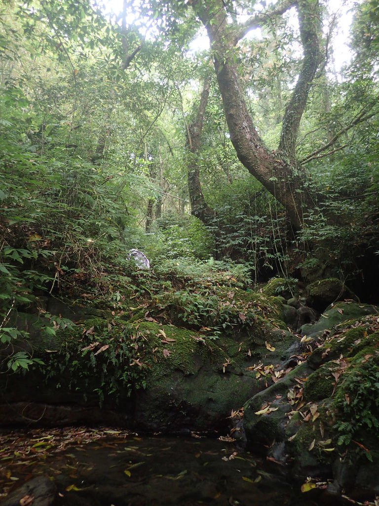 P4042142.JPG
