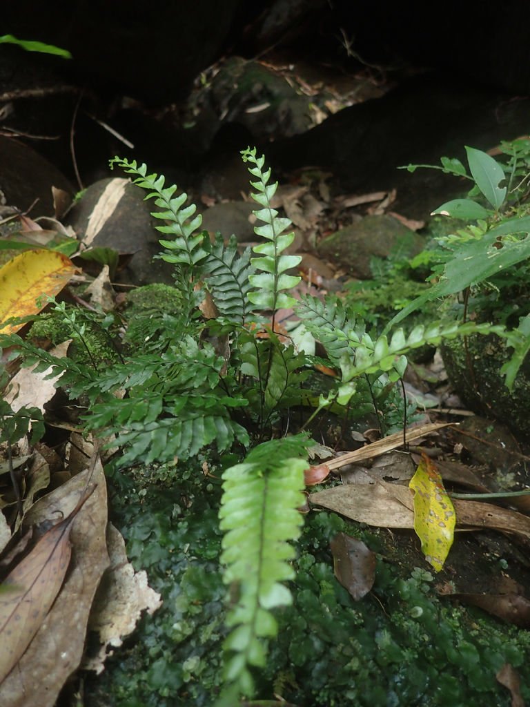 P4042154.JPG