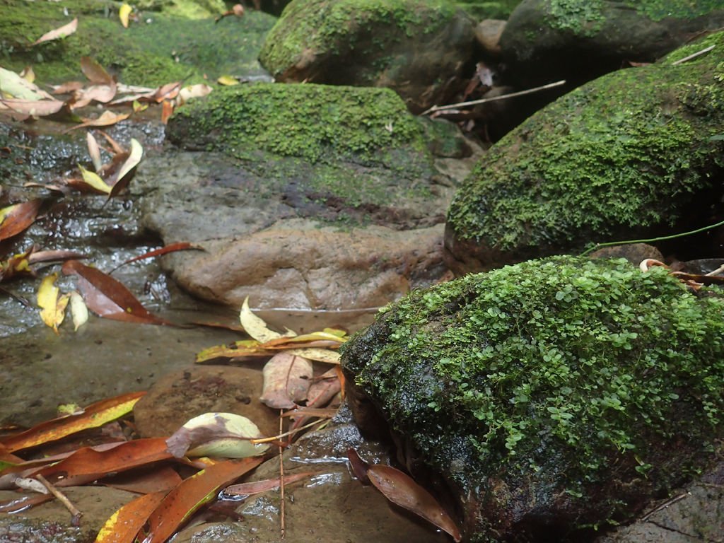P4042151.JPG