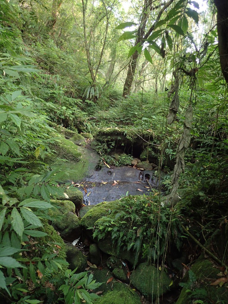 P4042157.JPG
