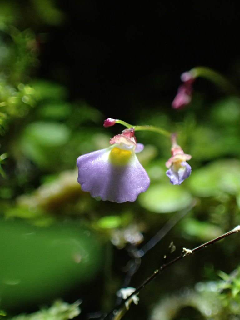 P4042176.JPG