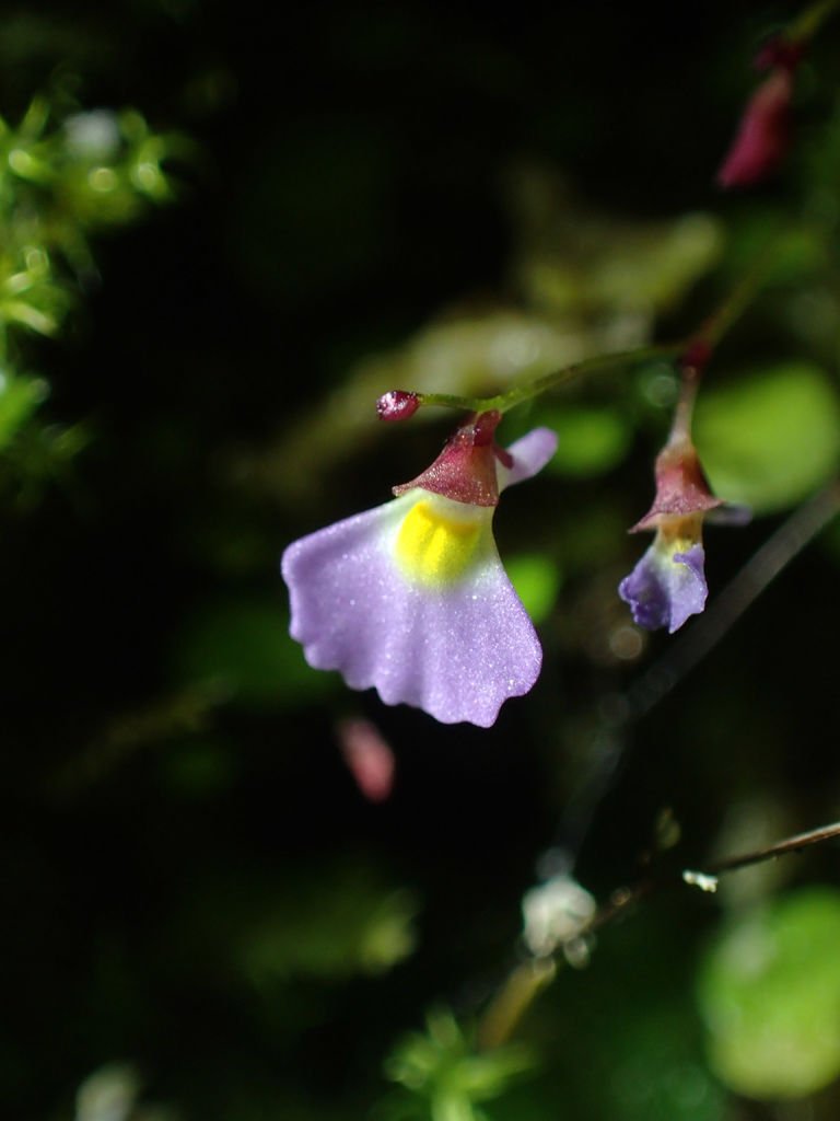 P4042194.JPG