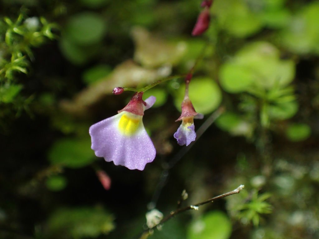 P4042196.JPG