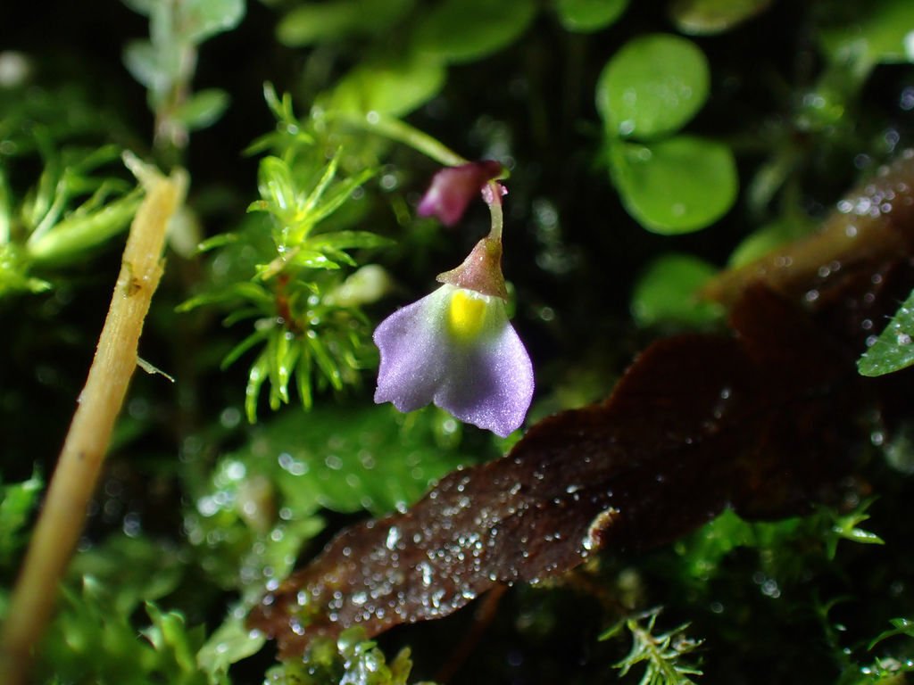 P4042252.JPG