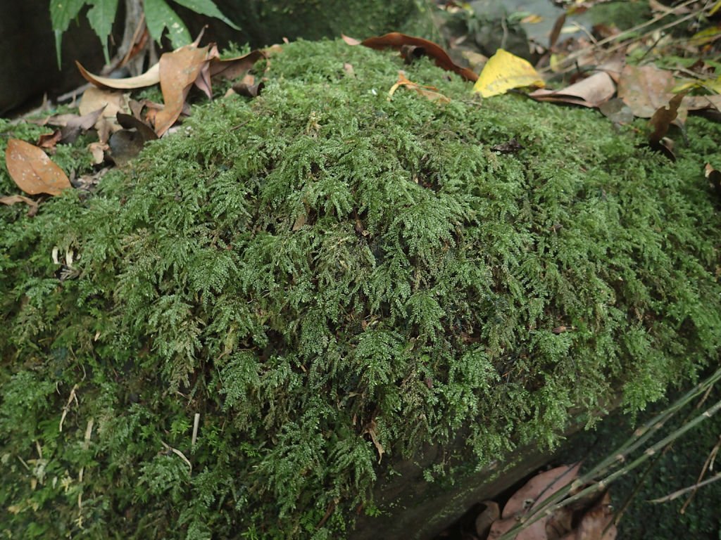 P4042160.JPG