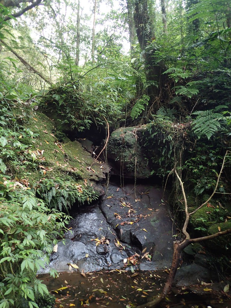 P4042162.JPG