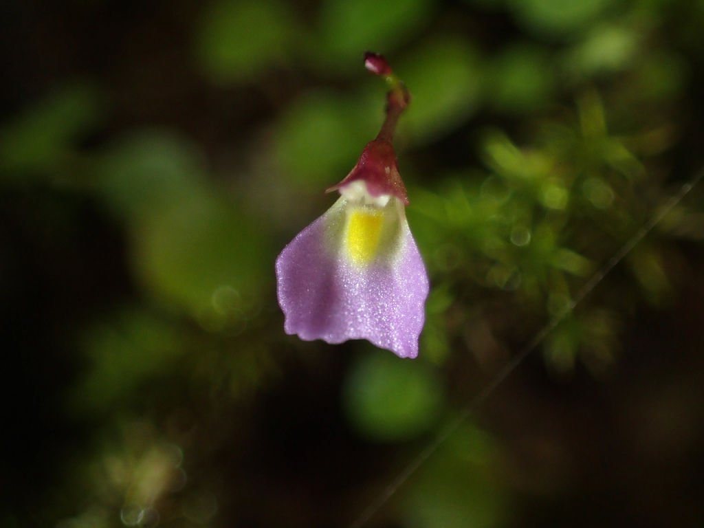 P4042353.JPG