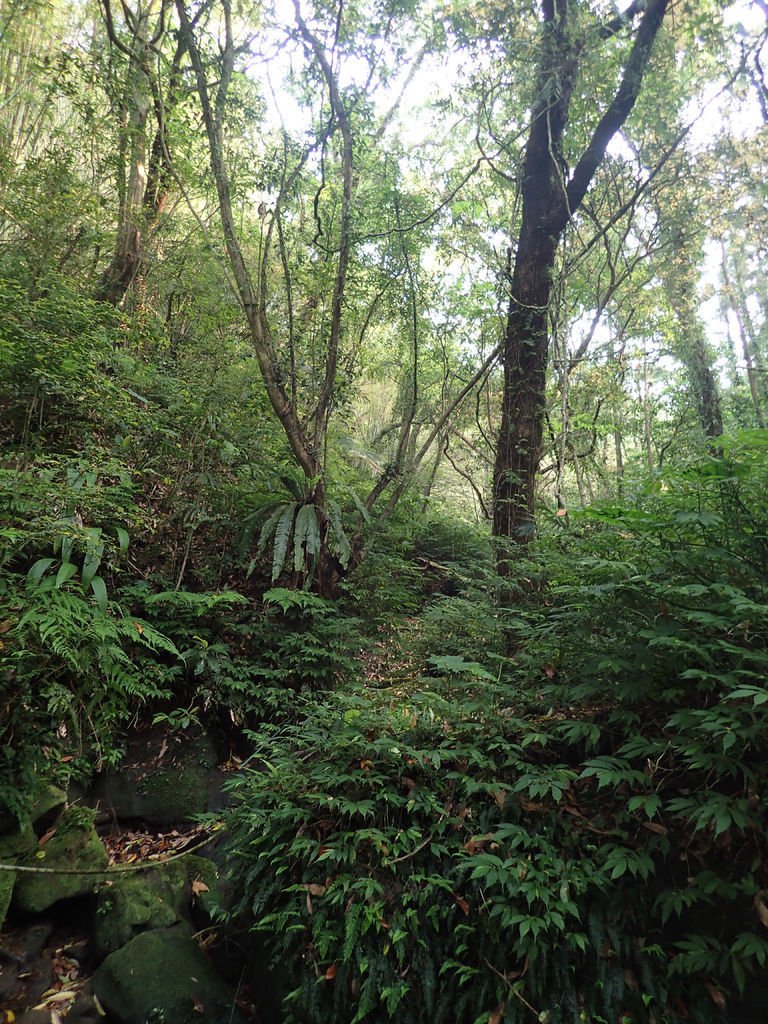 P4042158.JPG