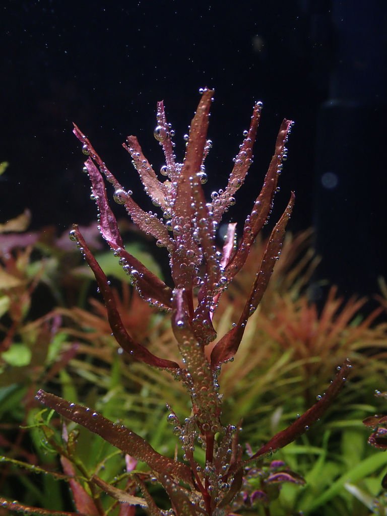 PB110727.JPG
