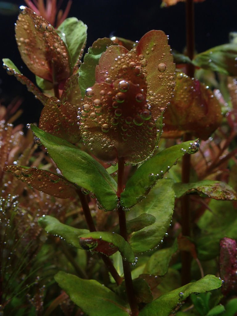 PB110729.JPG