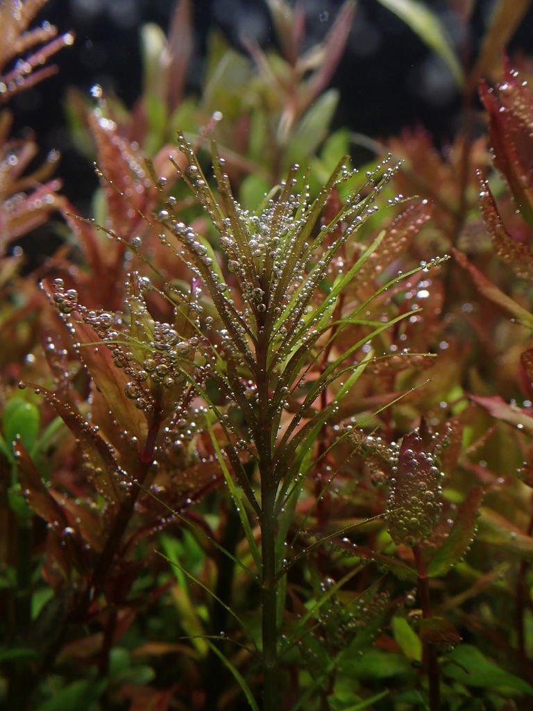 PB110725.JPG