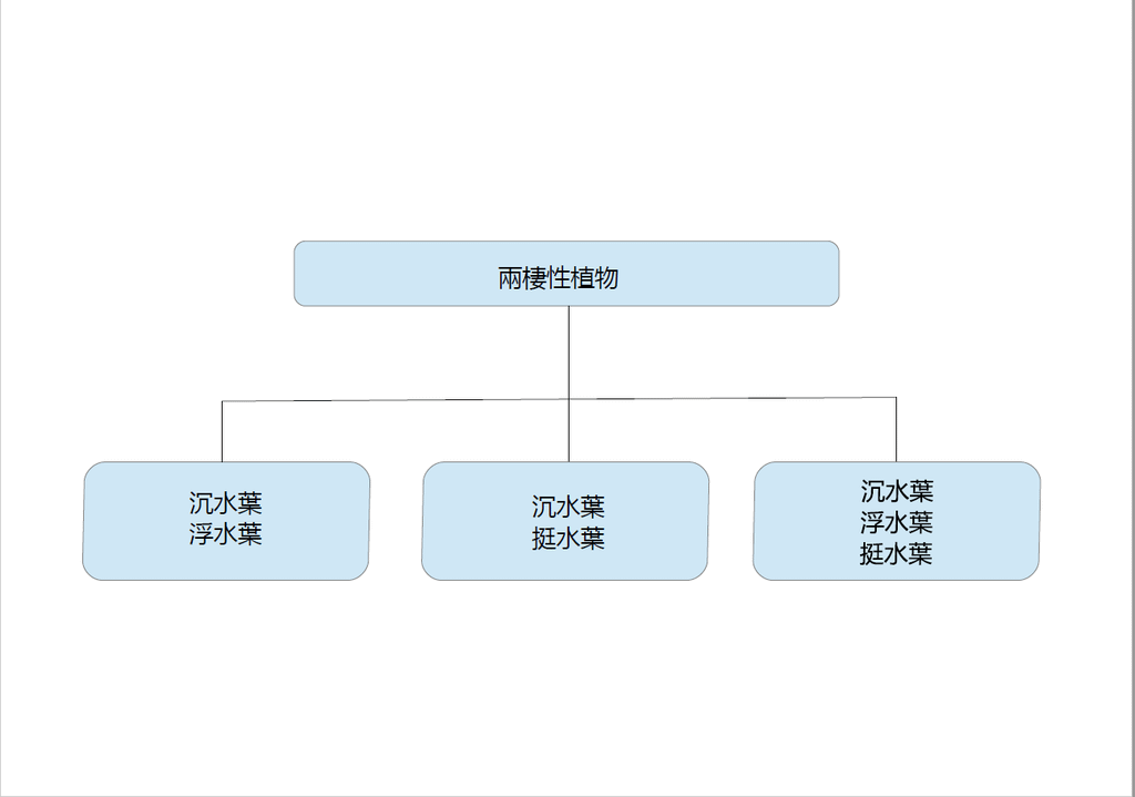 19.兩棲性植物.png