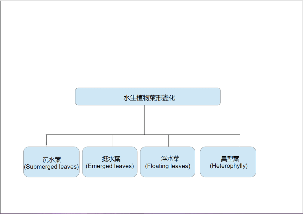 水生植物葉形變化.png