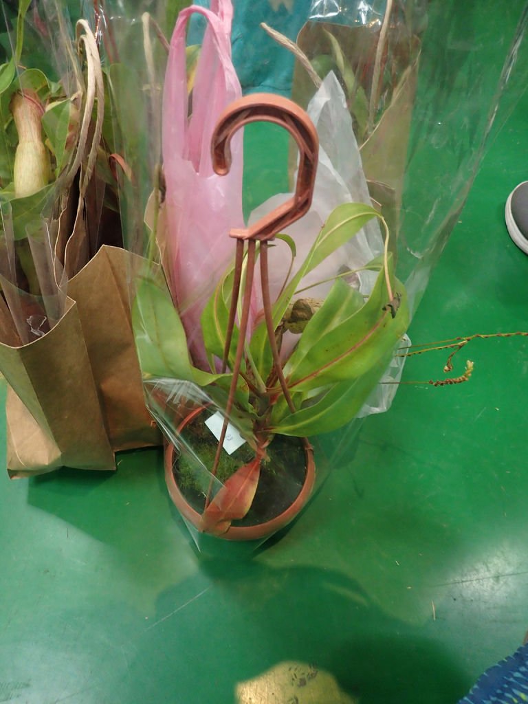 P5123550.JPG