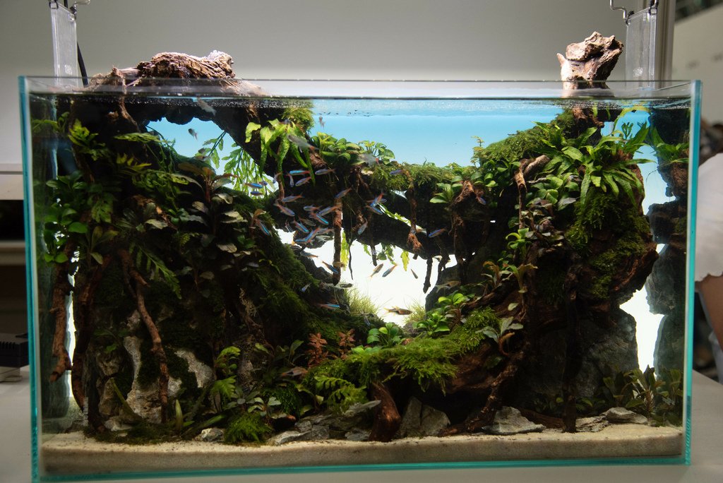 水族展