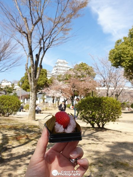 20190405_143449.jpg