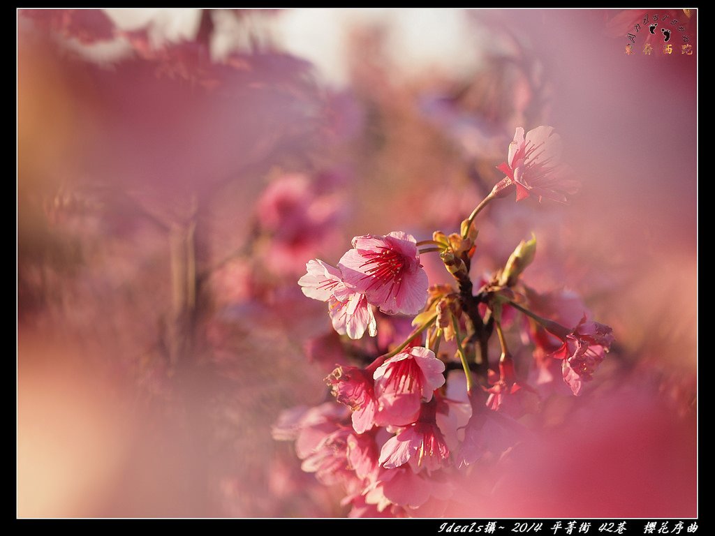 FB平菁街140125_平菁街_53