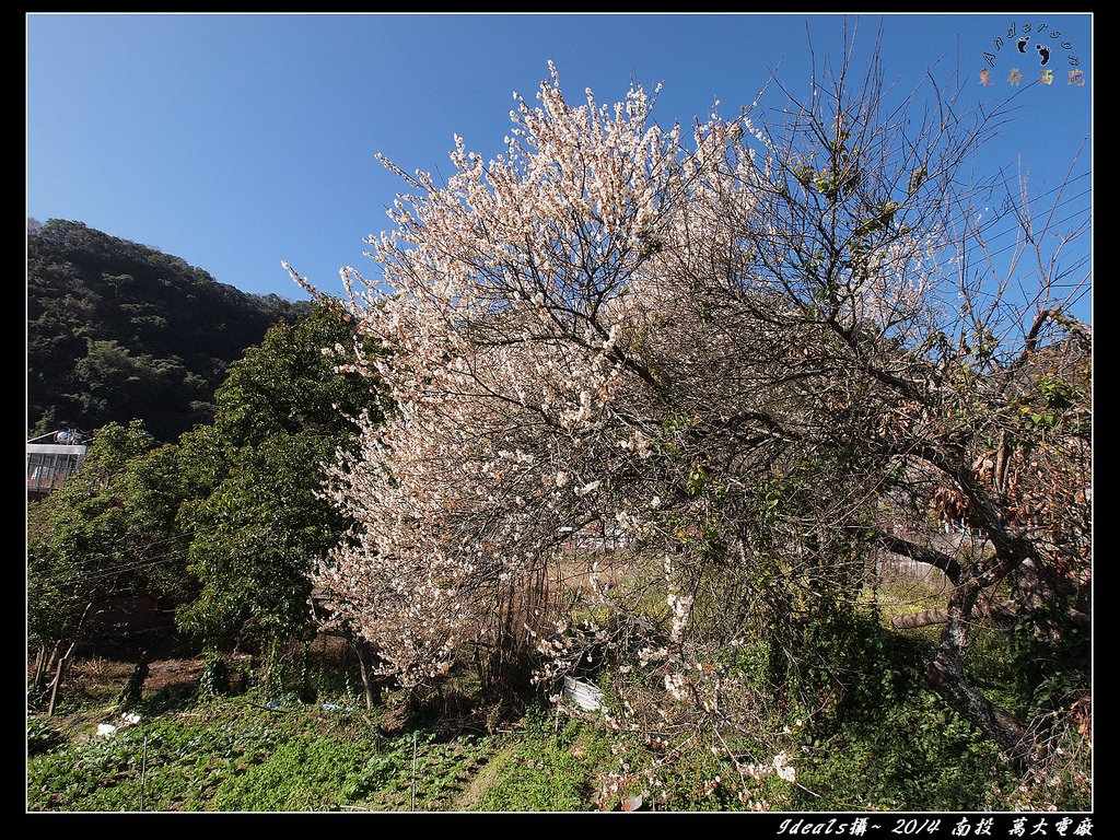 FB萬大電廠068