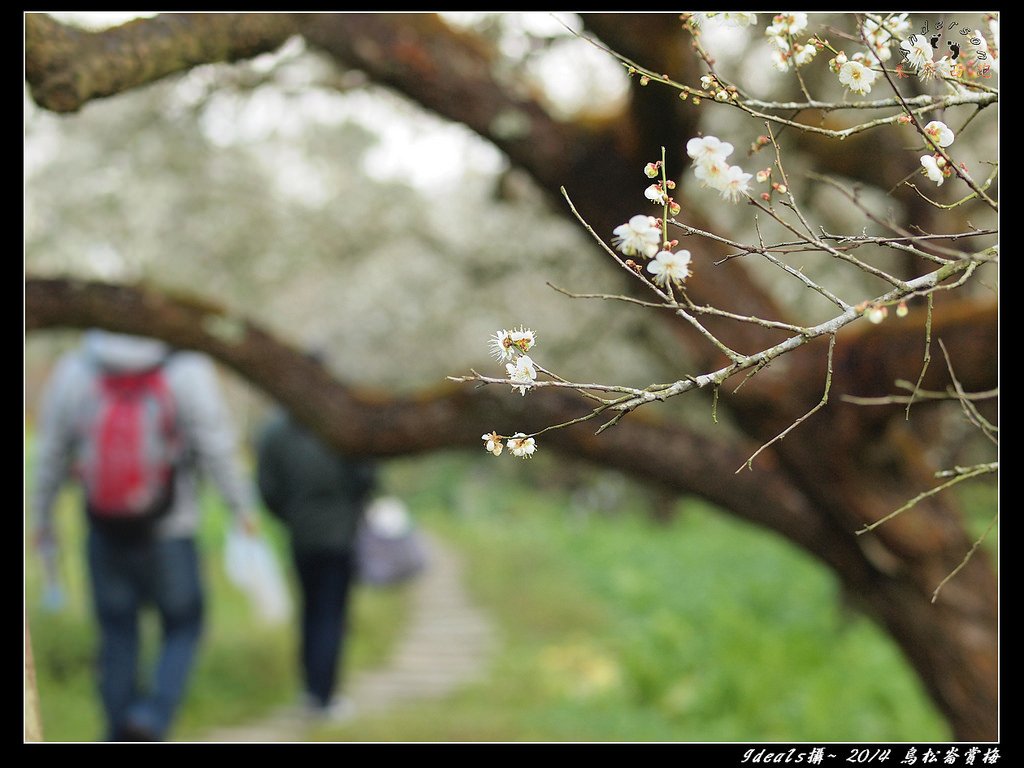 FB烏松崙P1018860