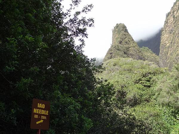 Iao Needle