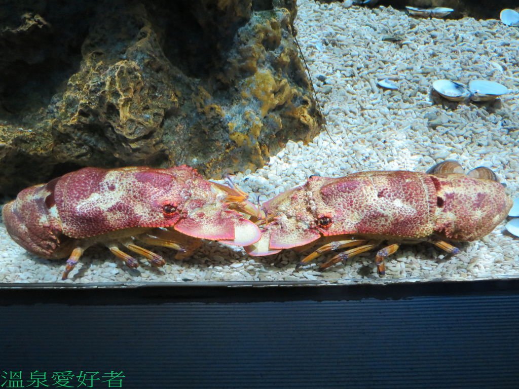 IMG_7416.jpg