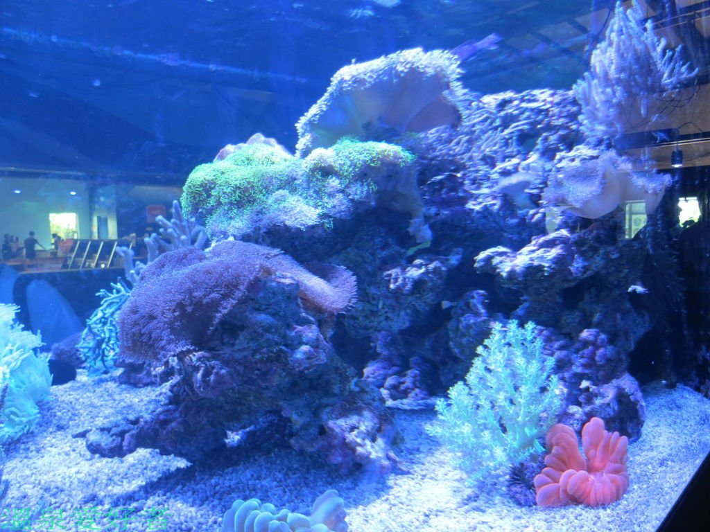 IMG_8036.jpg