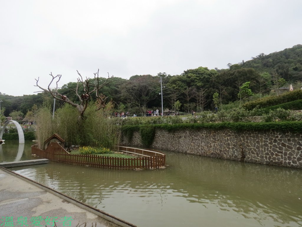 IMG_9994.jpg