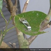 DSC02323.JPG