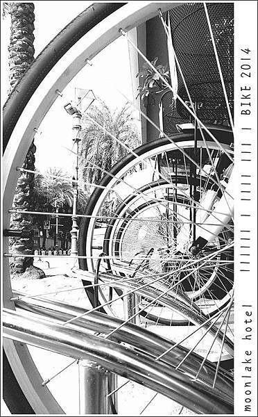 10250279_10202436551569259_6717258164788430035_n