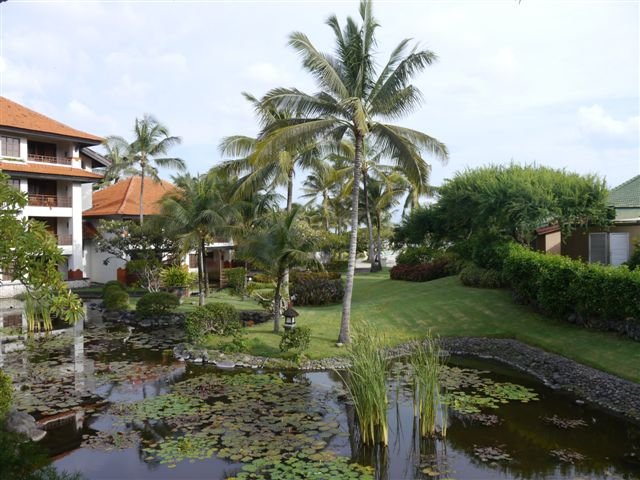 Garden View看的就是飯店內的造景