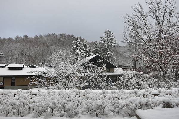 前晚下了大雪，積雪超深