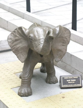 Baby_Tembo.jpg