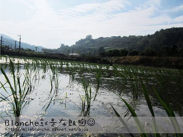 黑豆園 (21)