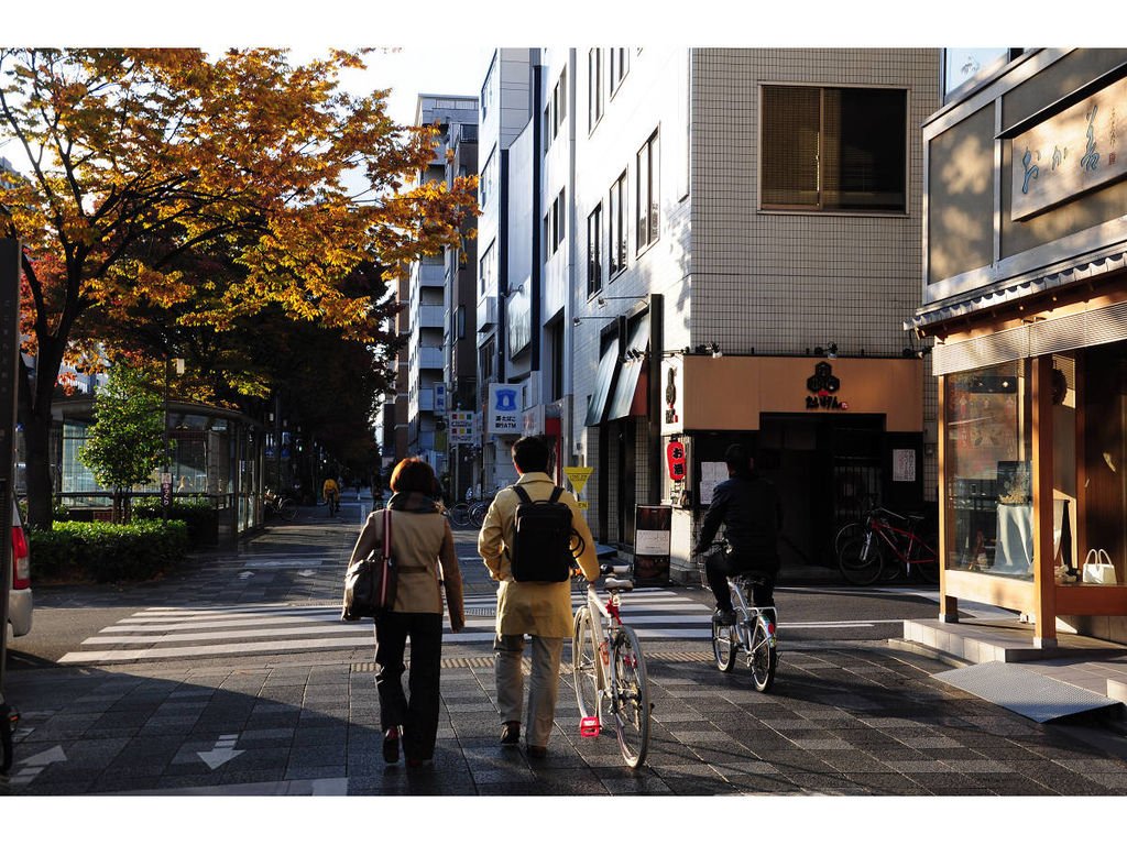 201411014京都奈良紅杏黃紅葉第1日 (11).jpg