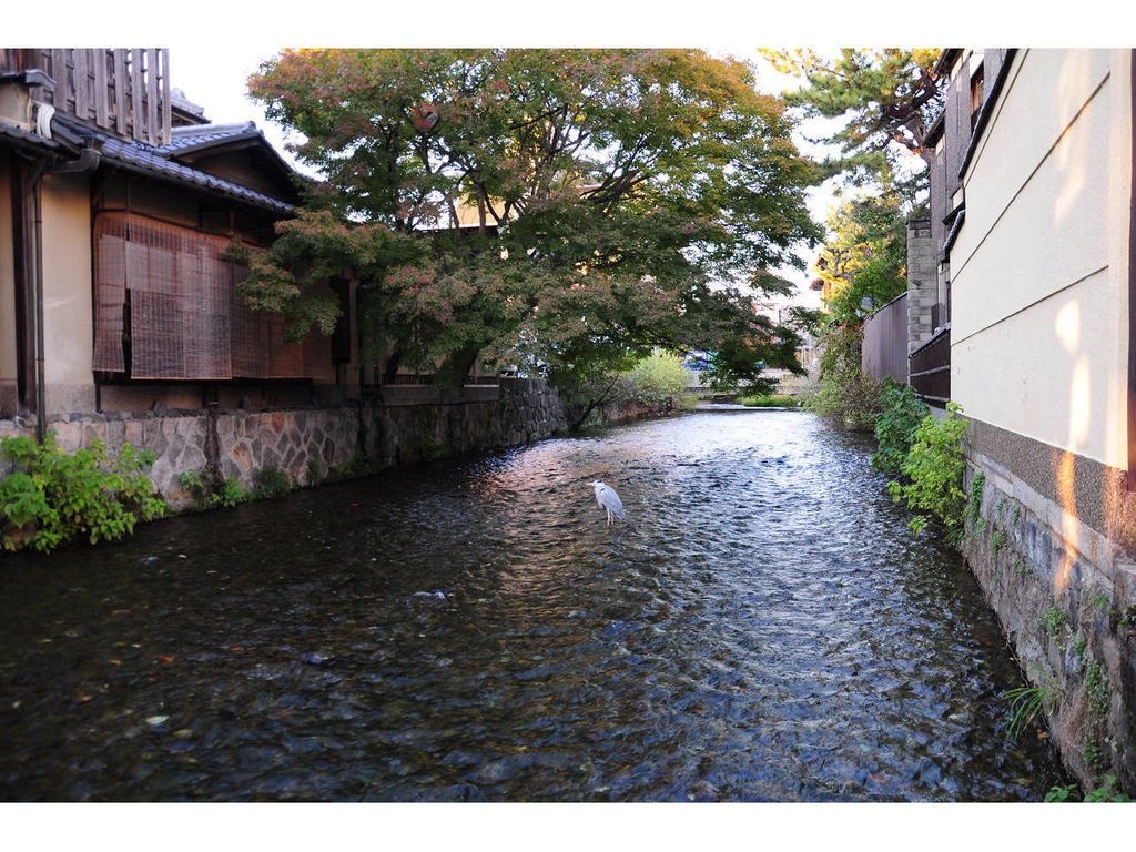 201411014京都奈良紅杏黃紅葉第1日 (44).jpg