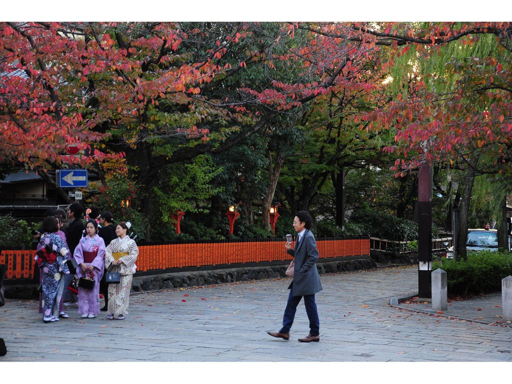 201411014京都奈良紅杏黃紅葉第1日 (51).jpg