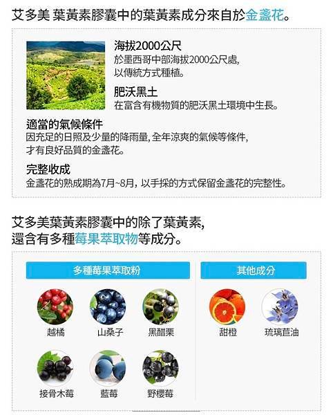 艾多美葉黃素/葉黃素推薦/素食葉黃素/游離型葉黃素