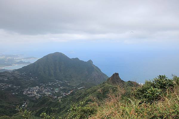 1013往半平山的無耳茶壺登山步道 (30)