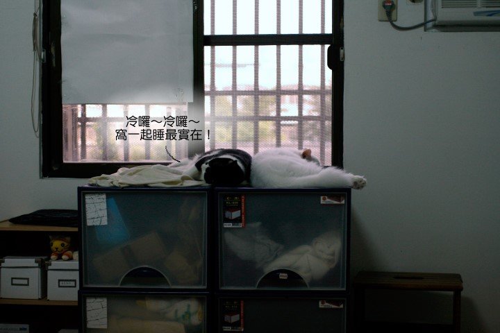 _MG_7015.jpg
