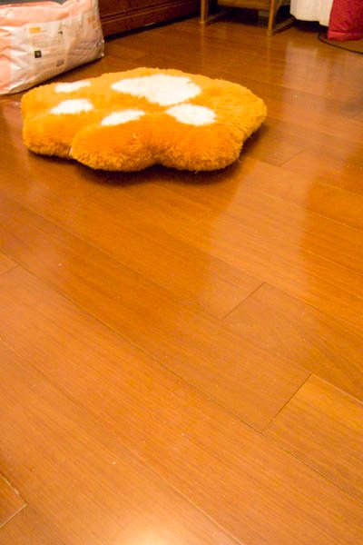 49b924e514918.jpg