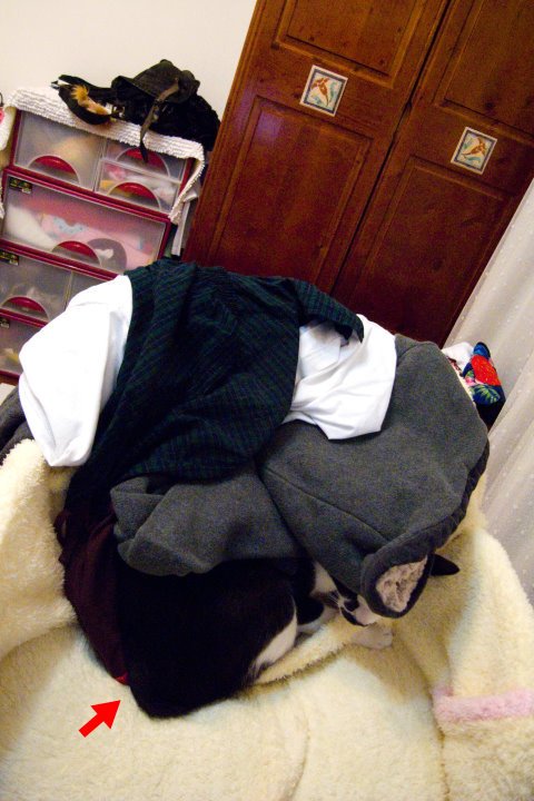 R001416211.jpg