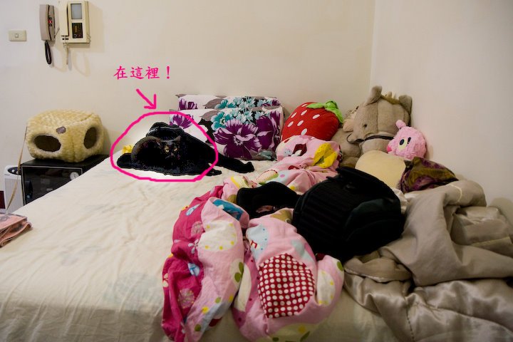 4b17077f8bd5a.jpg