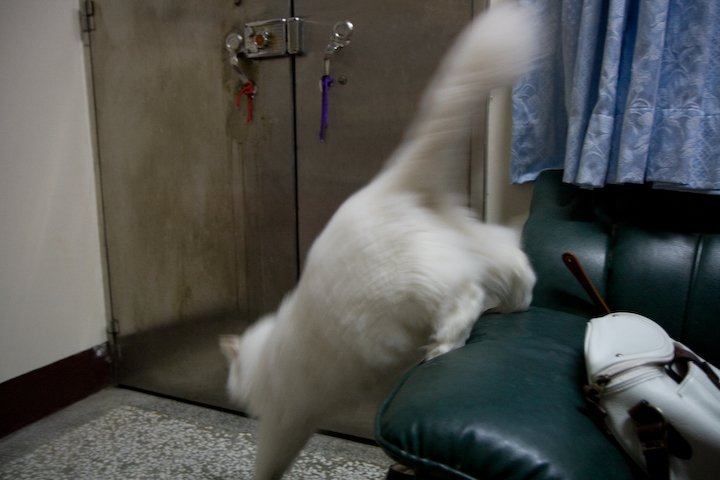 _MG_2688.jpg