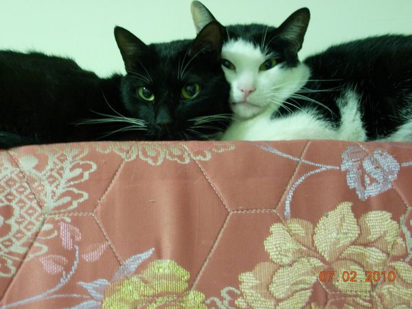 DSCN4197.JPG