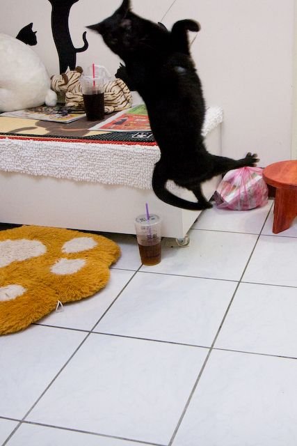 _MG_2978.jpg