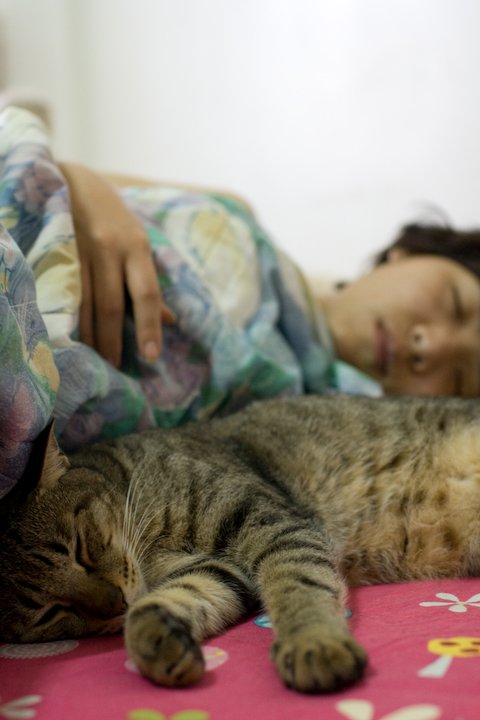 _MG_3414.jpg