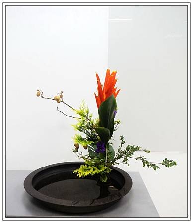 1030710高踞體1.jpg