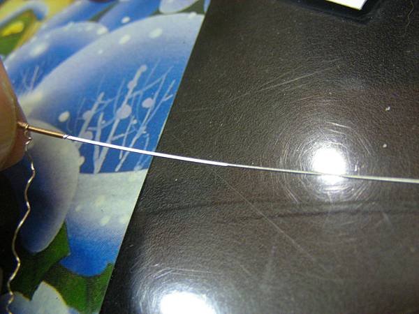 DSCN1303.JPG
