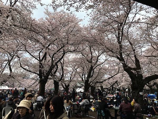 IMG_0870 (コピー).JPG
