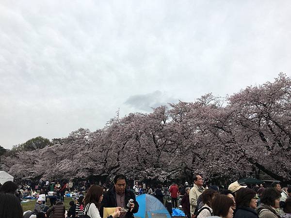 IMG_0912 (コピー).JPG